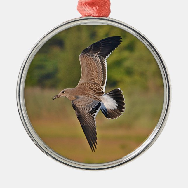 Seagull Ornament (Front)