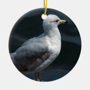 Seagull Ornament
