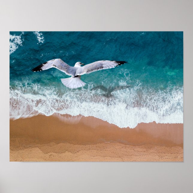 Seagull over the Sea Shore Poster (Front)