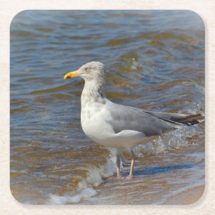 Seagull Party Coaster