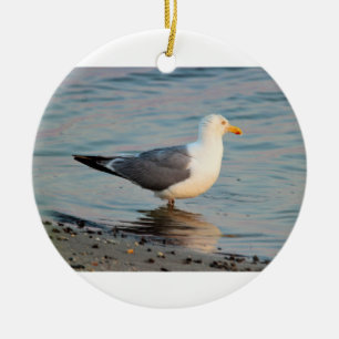 Seagull Photo Ceramic Tree Decoration