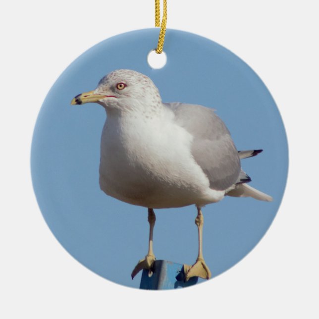 Seagull Photo Ceramic Tree Decoration (Front)