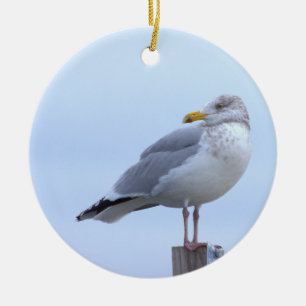 Seagull Photo Ornament 