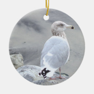 Seagull Photo Ornament 