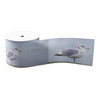 Seagull Photo Ribbon Grosgrain Ribbon