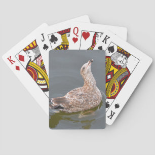 Seagull Playing Cards