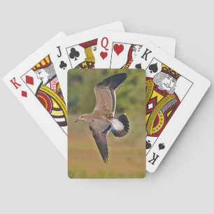 Seagull Playing Cards
