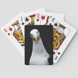 Seagull Playing Cards