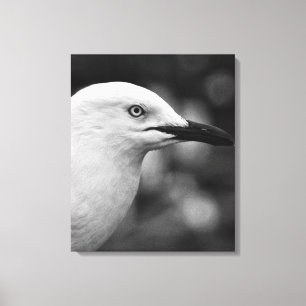 Seagull portrait canvas print
