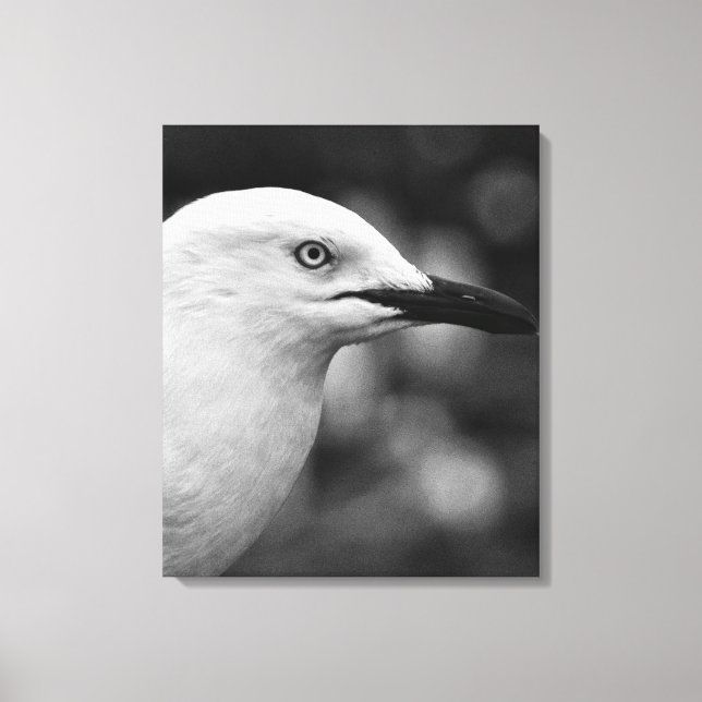 Seagull portrait canvas print (Front)