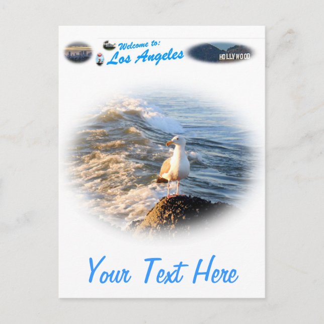 Seagull Postcard (Front)