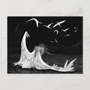 Seagull Postcard