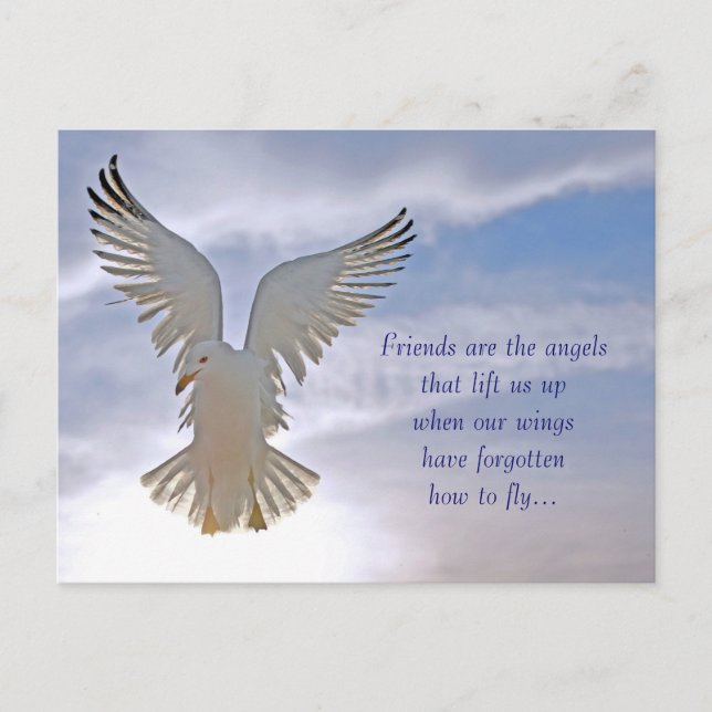 Seagull Postcard (Front)