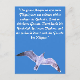Seagull Postcard