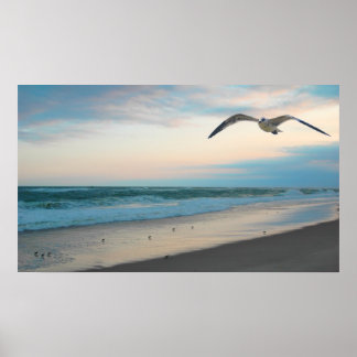 Seagull Poster