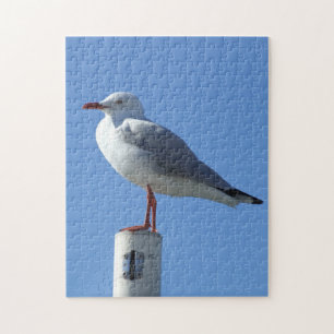 Seagull Puzzle