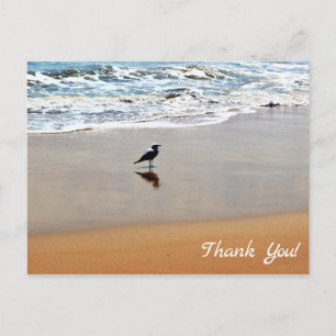 Seagull Reflection, Sand and Ocean Beach Thank You Postcard