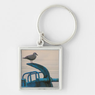 Seagull Rests On Anchor Of Ship   Choshi Key Ring