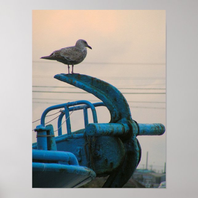 Seagull Rests On Anchor Of Ship | Choshi Poster (Front)