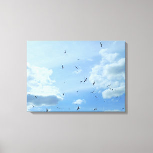 Seagull Sky Canvas Print