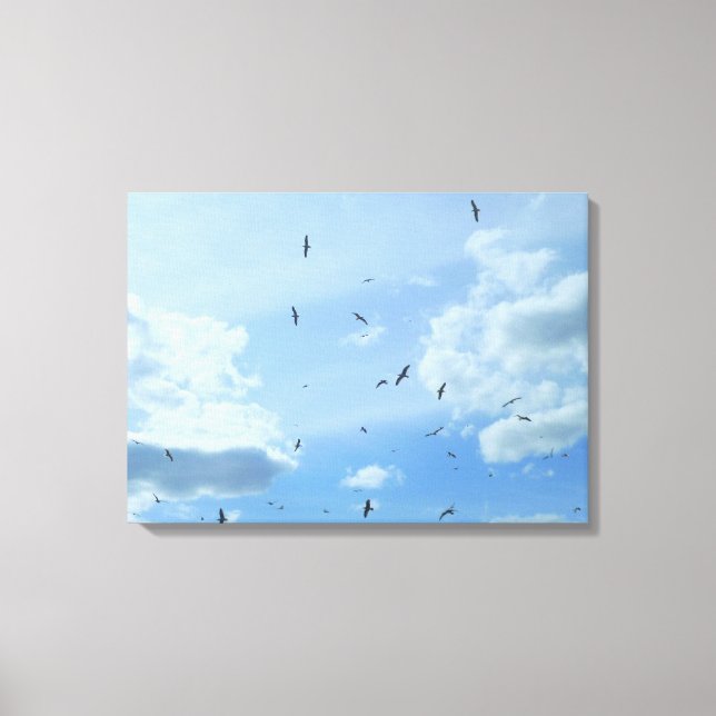 Seagull Sky Canvas Print (Front)