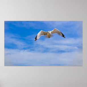 Seagull soaring high against a blue sky poster