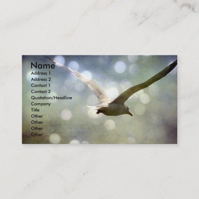 Seagull Soars Business Card (Front)