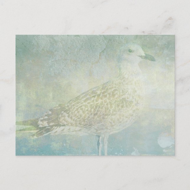 Seagull Sonata Postcard (Front)