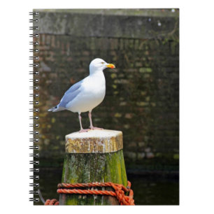 Seagull Spiral Notebook