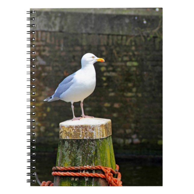 Seagull Spiral Notebook (Front)