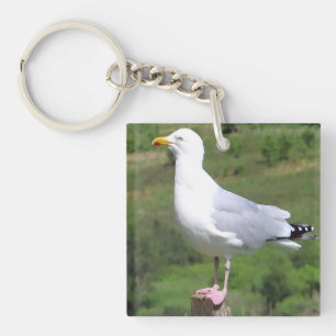 Seagull Standing  Key Ring