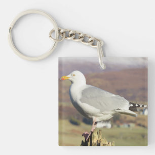 Seagull Standing Key Ring