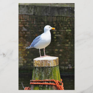 Seagull Stationery