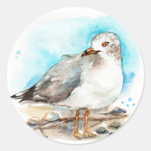 Seagull Study 2 Classic Round Sticker