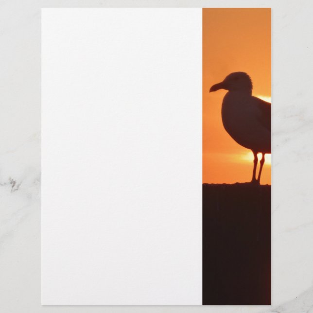 Seagull Sunset (Front)