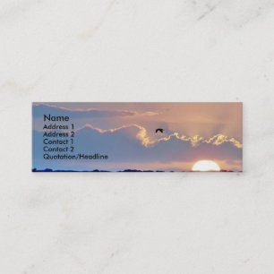 Seagull Sunset Profile Card