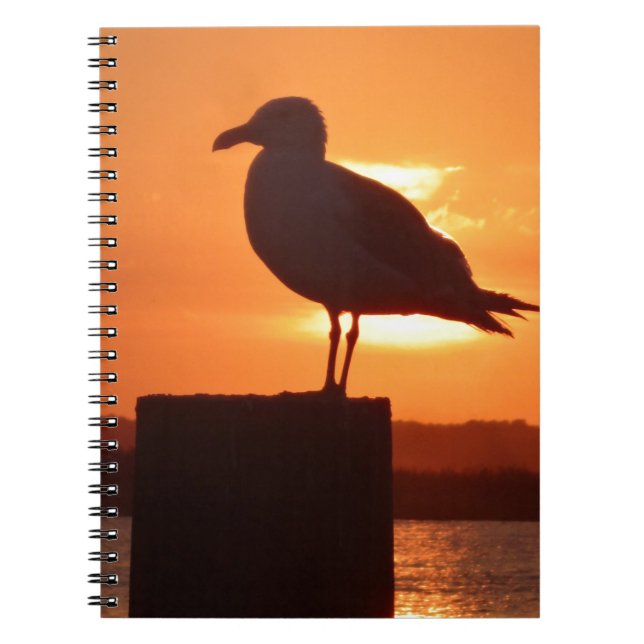 Seagull Sunset Spiral Notebook (Front)