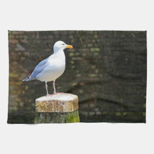 Seagull Tea Towel