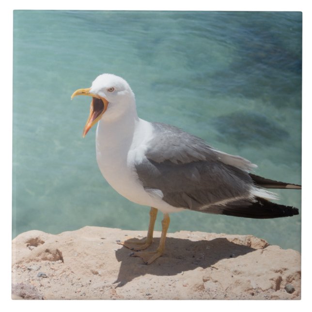 Seagull Tile (Front)