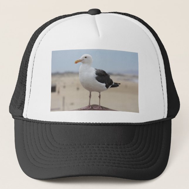 Seagull Trucker Hat (Front)