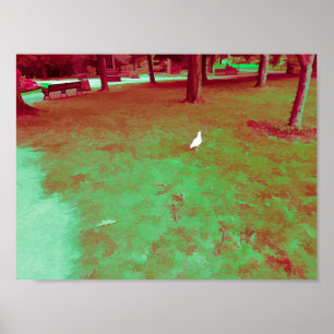 Seagull Walking in Park Tourmaline Paint Poster