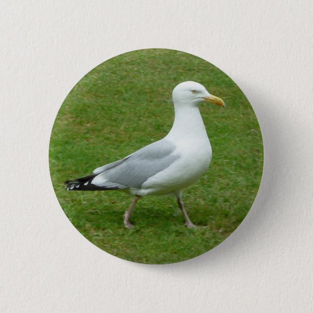 Seagull walking in the Park 6 Cm Round Badge (Front)