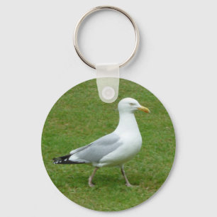 Seagull walking in the Park Key Ring