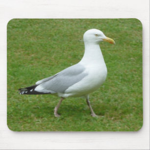 Seagull walking in the Park Mouse Pad