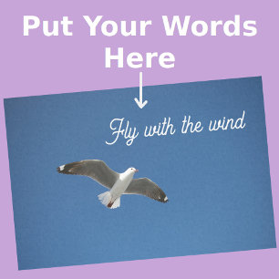 Seagull White Grey Blue Inspiration Photo Tissue Paper