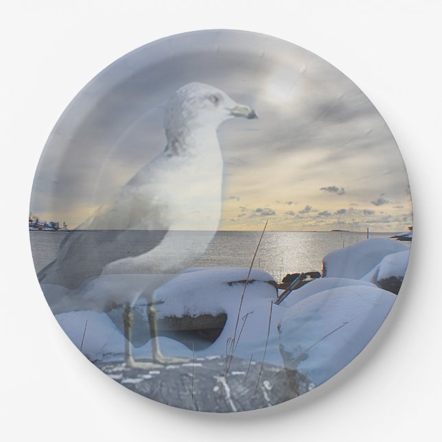 Seagull Winter Seashore Paper Plate (Front)