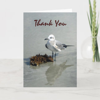 Seagull with Seaweed Custom Thank You Card