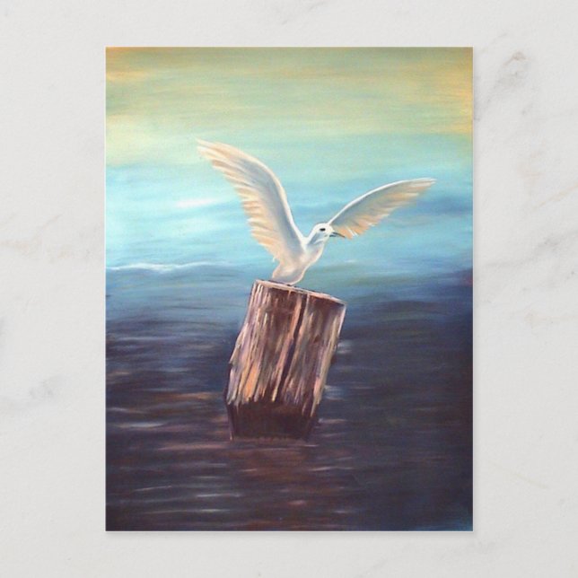 Seagull: www.AriesArtist.com Postcard (Front)