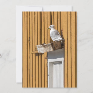 Seagull Yellow Norwegian House Photo Holiday Card