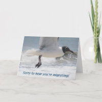 Seagull You're Moving Card